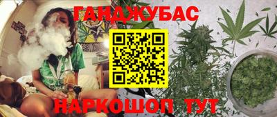 спайс Малгобек