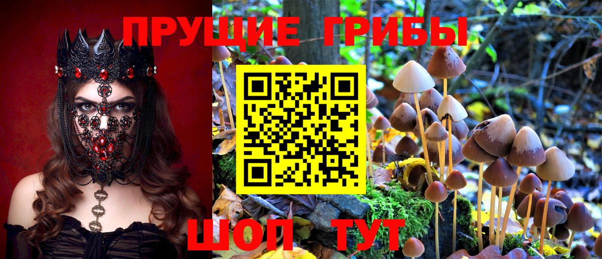 Псилоцибиновые грибы прущие грибы Чайковский