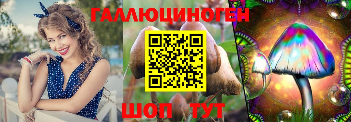 Псилоцибиновые грибы мицелий  Вход с VPN  Чайковский  Псилоцибиновые грибы Psilocybe 